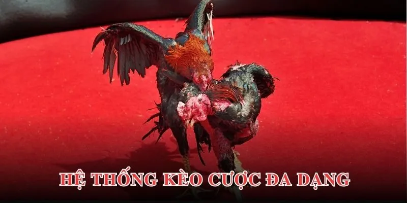 Ưu điểm thu hút người chơi tại sảnh ICF Sports 