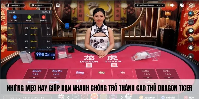 Những mẹo hay giúp bạn nhanh chóng trở thành cao thủ dragon tiger