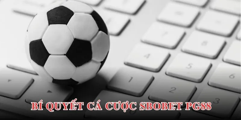 Bí quyết chiến thắng lớn khi bắt đầu cùng Sbobet cho người mới