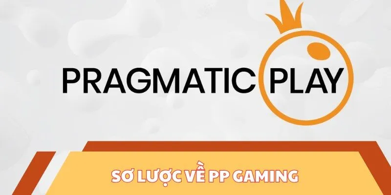 Sơ lược về PP Gaming 